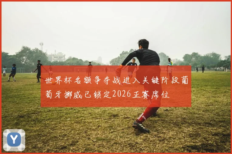世界杯名额争夺战进入关键阶段葡萄牙挪威已锁定2026正赛席位