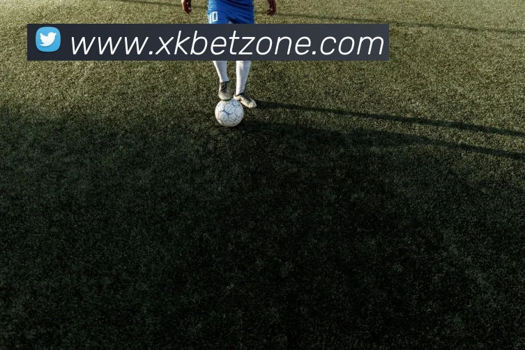 星空体育服务体系